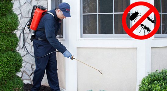 Canik Kene İlaçlama böcek ilaçlama ve haşere kontrolü — ilaclama-tr.com